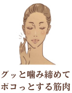 咬筋イラスト