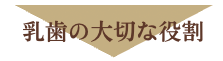 乳歯の大切な役割